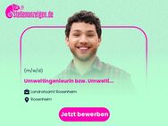 Umweltingenieurin bzw. Umweltingenieur (m/w/d) für den Bereich Immissionsschutz - Rosenheim