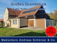 RESERVIERT! - Einfamilienhaus auf großem Grundstück in Biebersdorf in der Nähe von Lübben/Spreewald - Märkische Heide