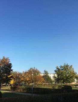 provisionsfrei: Gut vermietet am Park - Mainz