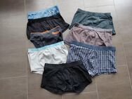 8.Herren Shorts/Underwear Gr.L/XL Blau/Grau/Schwarz Zara usw. - Köln