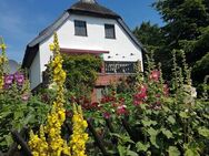 Inselfeeling pur - idyllisches Reetdachhaus mit zwei zusätzlichen Ferienwohnungen und Nebengelass zwischen Bodden und Ostsee - Insel Hiddensee