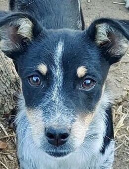 Tala - Rotenburg (Fulda)