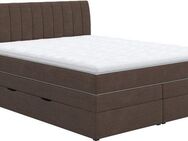 COTTA Boxspringbett Shark inkl. Bettkasten und Topper, erhältlich in den Breiten 140x200cm, 160x200cm und 180x200cm
