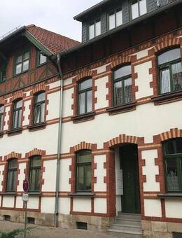 Lichtdurchflutete 1 Raum Wohnung inmitten der Altstadt - Arnstadt