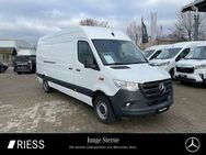 Mercedes Sprinter, 317 KA Maxi MBUX °, Jahr 2022 - Ravensburg