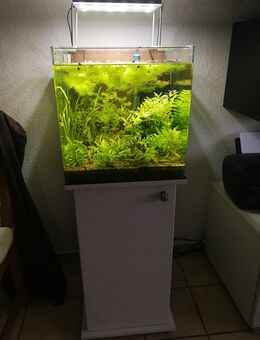 Aquarium Konvolut komplett abzugeben - Arnsberg