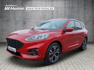 Ford Kuga, ST-LINE X 225PS, Jahr 2021 - Marienmünster