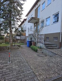 Renovierte 1-Zimmer Untergeschosswohnung mit Autoabstellplatz und Pentryküche in 78467 Konstanz - Konstanz