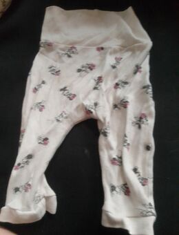 Disney Größe 68 - Jördenstorf