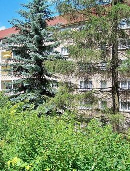 günstige 2-Zimmer-Wohnung zu vermieten - Nossen