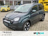 Fiat Panda, Pandina Cross, Jahr 2022 - Dessau-Roßlau