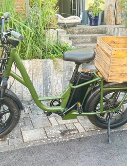 Fiido t1 pro e-bike mit 150 Reichweite - Breuberg Zentrum