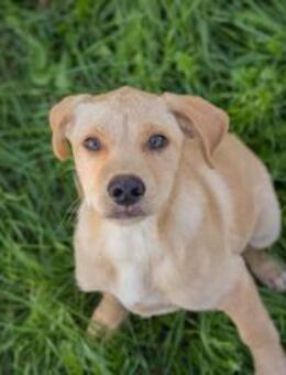 MILOW -jetzt können die Richtigen kommen - Overath