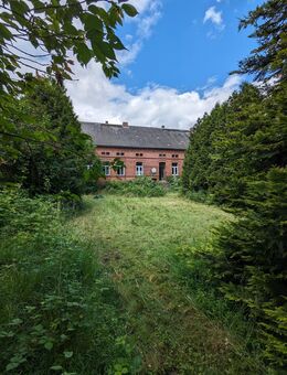 Großes Massivhaus mit eigenem Wald für Selbstversorger & Naturliebhaber - Gumtow