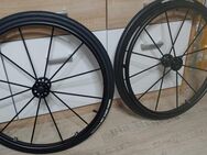Rollstuhl Spinergy Art Reifen - Hagen (Stadt der FernUniversität)