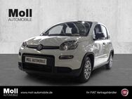 Fiat Panda, Mild Hybrid City Paket Gelato Weiß, Jahr 2024 - Köln