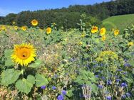 Blumenwiese einjährig Saatgutmischung Wildpflanzen Blühmischung 15 Sorten insektenfreundliche Blumenmischung Bienenmagnet im Garten bunteSaat Farben Hummel Satgut flower Blumenbeet Saatgut SWR Treffpunkt Geschenk Sonne - Pfedelbach