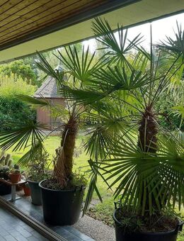 Bungalow mit Prachtgarten - Karlsruhe