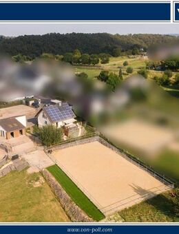 Helles Einfamilienhaus mit moderner Reitanlage - Lonnig