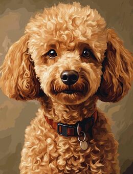 Familienhund gesucht! - Duisburg