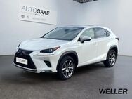 Lexus NX 300, h E-FOUR Executive Line, Jahr 2021 - Leipzig Alt-West