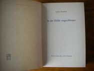In der Höhle eingeschlossen,Geoffrey Household,Boje Verlag,1964 - Linnich