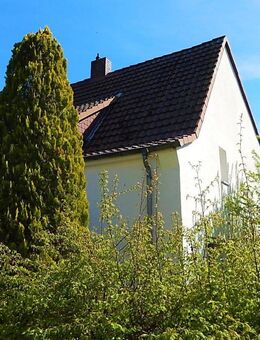 Ein- Zweifamilienhaus in der Nähe der Innenstadt, herrliches Grundstück - Duderstadt