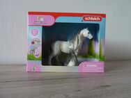 Schleich HORSE CLUB Sofia's Beauties 42583 Beauty Horse Quater Horse Stute NEU und OVP - Recklinghausen