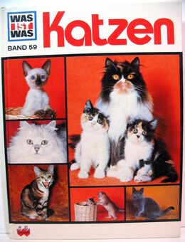 Buch - Was ist was - Katzen - Band 59 - ISBN 3788602996 - gut erhalten - Biebesheim (Rhein)