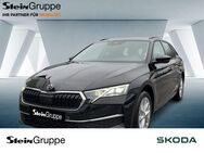 Skoda Octavia, 2.0 TDI Combi 110kW Selection, Jahr 2024 - Bergisch Gladbach