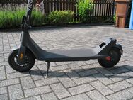XIOMY E-SCOOTER P4 - Bad Brückenau Zentrum