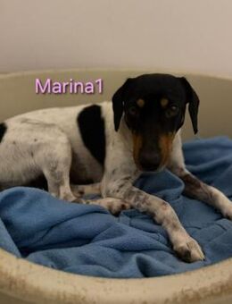 Marina1 offen u. lieb 11/22 ESP - Ruppertsecken