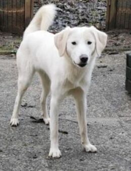 Möchtet ihr unser Elfchen Taina besuchen - München