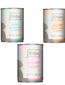 Kombi-Paket MjAMjAM 36 x 400 g - Mixpaket 2 (3 Sorten)