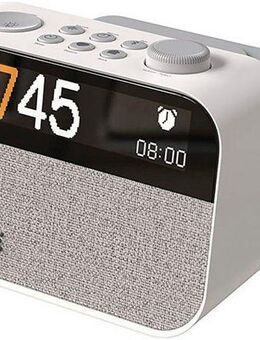 Pure Moment Charge Bluetooth-Lautsprecher Mono (Bluetooth, 10 W)