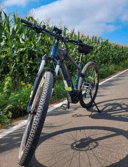 Haibike HardNine 5 E-Bike 29 Zoll – top gepflegt, wie neu - Gelsenkirchen
