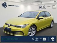 VW Golf, 2.0 TDI VIII Life LANE APP, Jahr 2020 - Fürstenwalde (Spree)