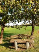 Kerl für eine bodenständige Freundschaft gesucht in 24232