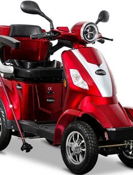 Rolektro Elektromobil Rolektro E-Quad 25 V.2, Blei-Gel-Akku, 1000 W, 25 km/h, (mit Topcase)