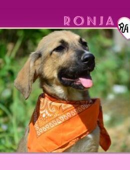 ❤️ RONJA ❤️ - TRÄUMT VON IHRER FAMILIE! - Alfeld (Leine)