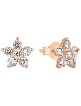 Amor Paar Ohrstecker Rosé Star (2-tlg), mit Zirkonia (synth)