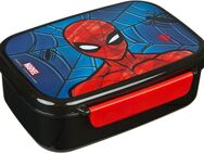 Scooli Lunchbox Spider-Man, (Set, 2-tlg), mit Trinkflasche