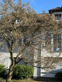 Kapitalanlage am Kühruhgraben! - Aschaffenburg