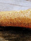 Naturschwamm, Luffaschwamm, Schwammgurke in 01099