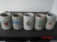 Sammlung Bierkrüge Steingut: Schultheis Bier vom Rhein, Hannen Alt, Andreas Bier, Feldschlösschen, Rhenania - Bottrop