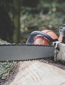 Defekte Stihl Motorsägen gesucht - Pilsach