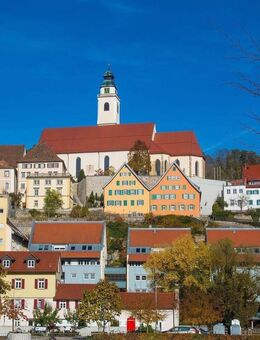 Gelegenheit: Wohngebäude, ca. 1.000 qm, vermietet, Grundstück, ca. 3 ha, in Horb, Kreis Freudenstadt/Nordschwarzwald - Horb (Neckar)