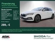 Skoda Octavia, 2.0 TDI Combi Style, Jahr 2024 - Bad Rappenau