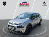 Citroën C4 Cactus, 110 S&S, Jahr 2019 - Wunstorf