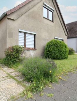 Ein Zuhause für Visionäre - Einfamilienhaus mit Einliegerwohnung und großem Gestaltungsspielraum - Lintig